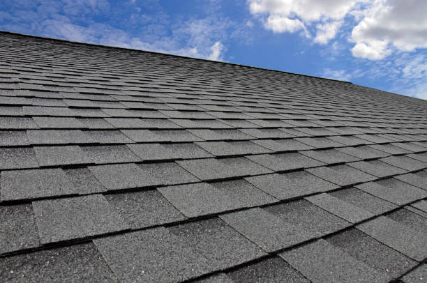 Fast & Reliable Emergency Roof Repairs in Apple Valley, MN